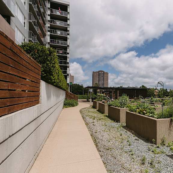 a concrete pathway leads through a series of raised planters filled with vegetation.