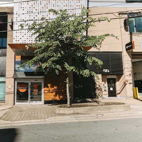 a tree in front of a building with a yellow sign on the door.