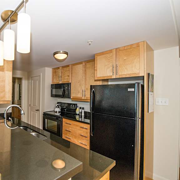 a kitchen with a black refrigerator and wooden cabinets.