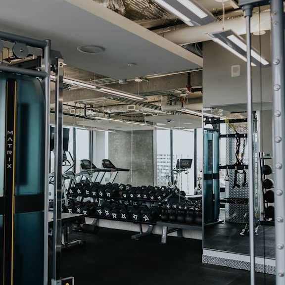 a gym with a row of dumbbells.