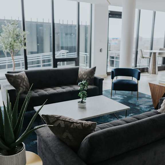 a living room with a grey couch, a white coffee table, and a potted plant.