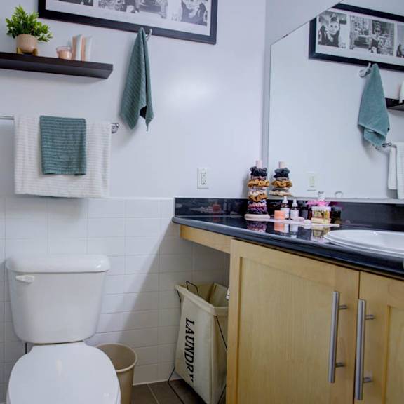 a bathroom with a toilet, a counter with a mirror, and a shelf with a plant on it.