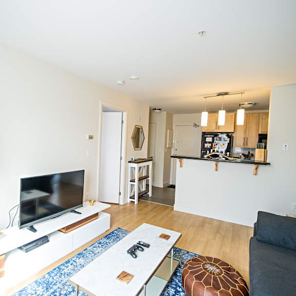 a living room with a television and a plant.