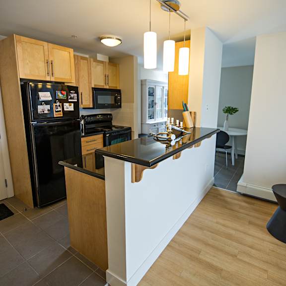 a kitchen with a black fridge and black stove.
