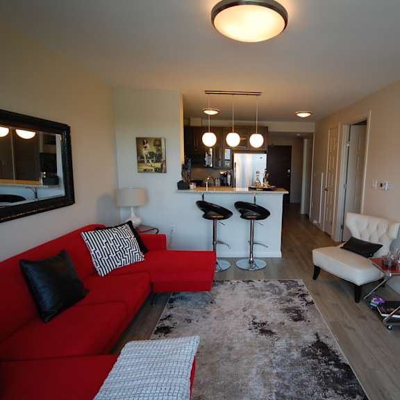 a living room with a red couch and a black and white rug.