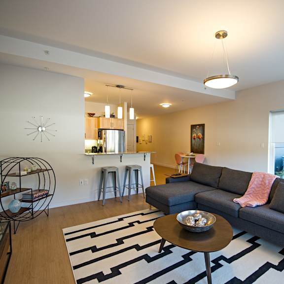 a living room with a grey couch and a black and white rug.