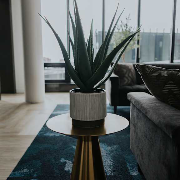 a plant in a white pot sits on a gold pedestal in a modern living room.