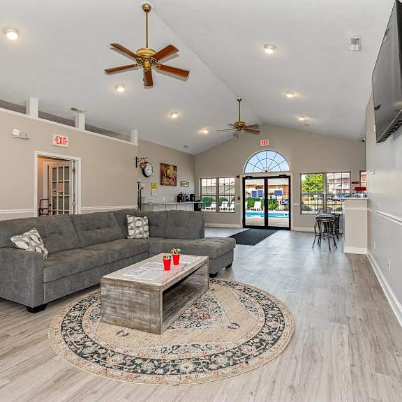 a living room with a grey couch and a rug in the middle.