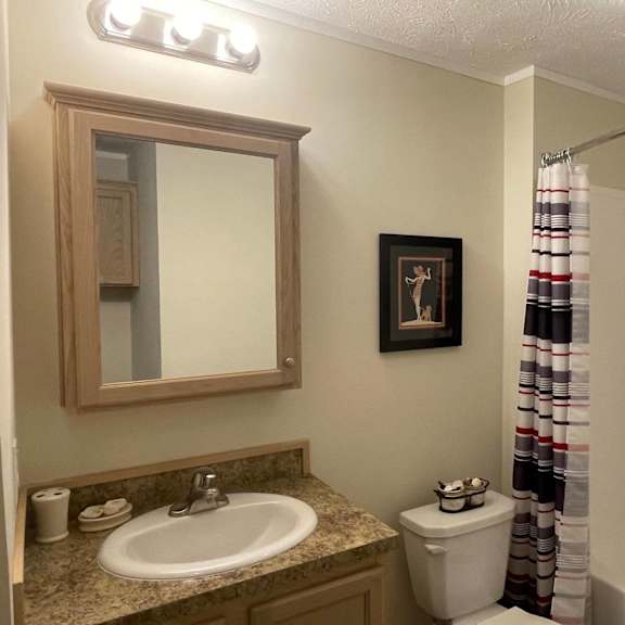 a bathroom with a sink, toilet, and a mirror.