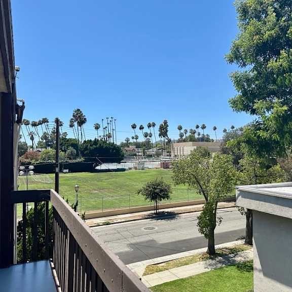 a view from a balcony overlooking a tree, a street, and a field with palm trees.