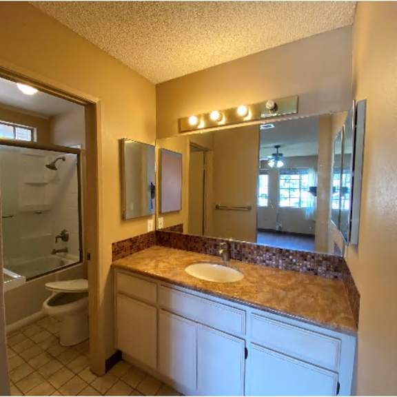 a bathroom with a sink, mirror, and toilet.