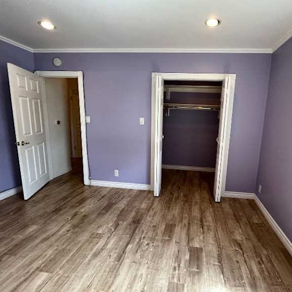 a room with purple walls and wooden floors.