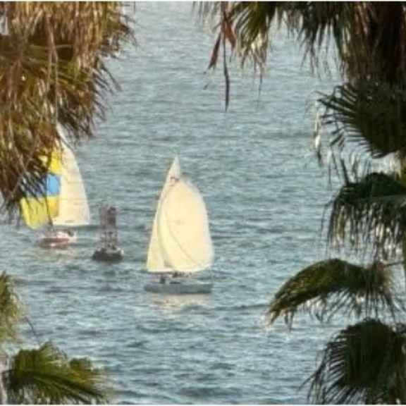 a sailboat with a white sail is in the water.