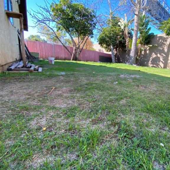 a backyard with a lawn and a wall.