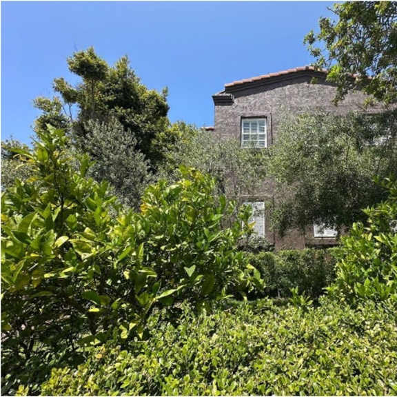 a house is surrounded by green plants.