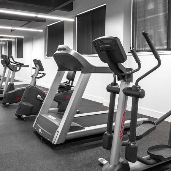 a gym with treadmills and elliptical machines.