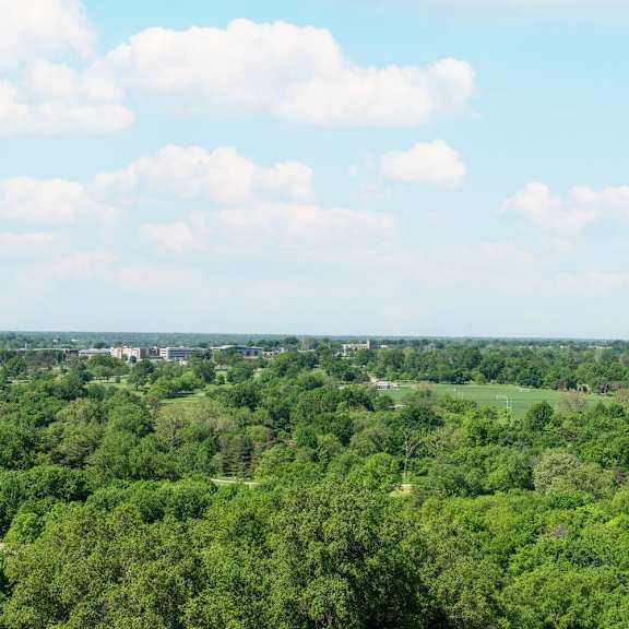a lush green forest stretches out to the horizon under a blue sky dotted with white clouds.