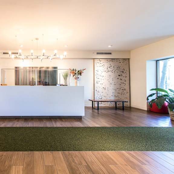 a reception area with a white counter and a green rug.