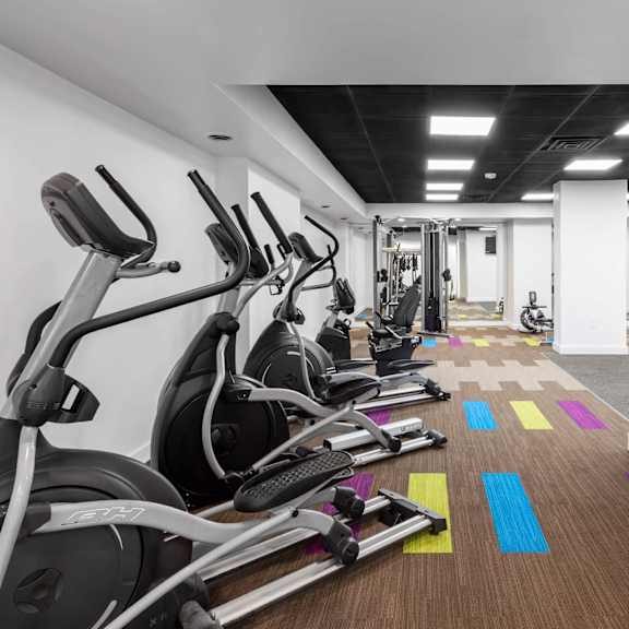 a row of treadmills and exercise bikes are lined up in a brightly lit gym.