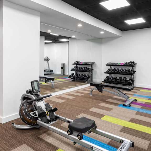 a gym with a row of exercise bikes and a row of dumbbells.