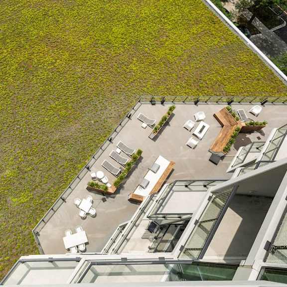 a green roof with plants covering it.