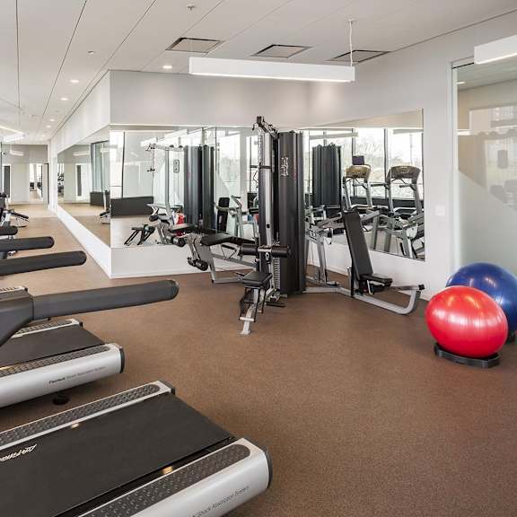 a gym with treadmills, weights, and exercise balls.