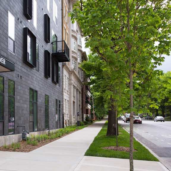 a tree is next to a sidewalk in front of a building.