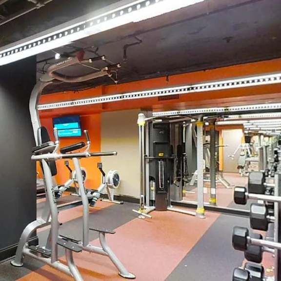 a gym with treadmills, weights, and exercise equipment.