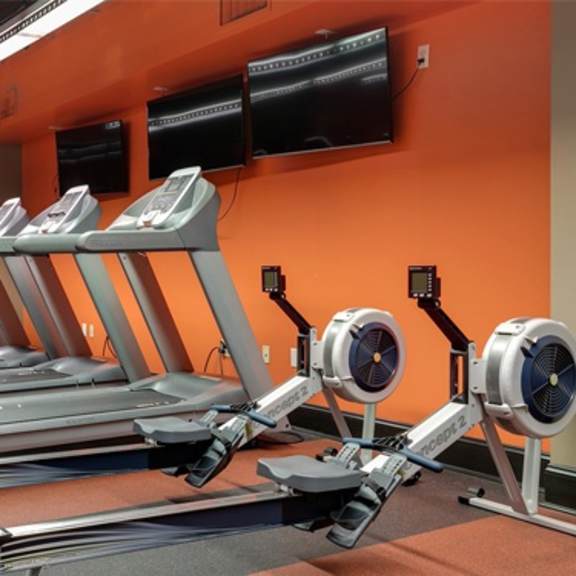 a gym with orange walls and a row of treadmills.