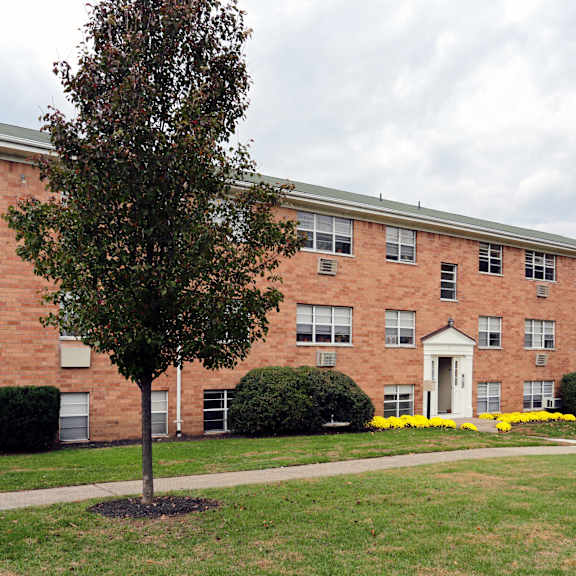 a tree stands in front of a red brick building.