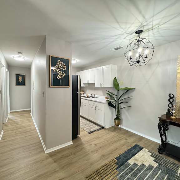 a long hallway with a rug on the floor and a plant on the side.