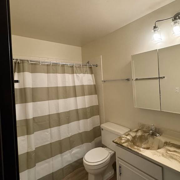 a bathroom with a toilet, sink, and shower curtain.
