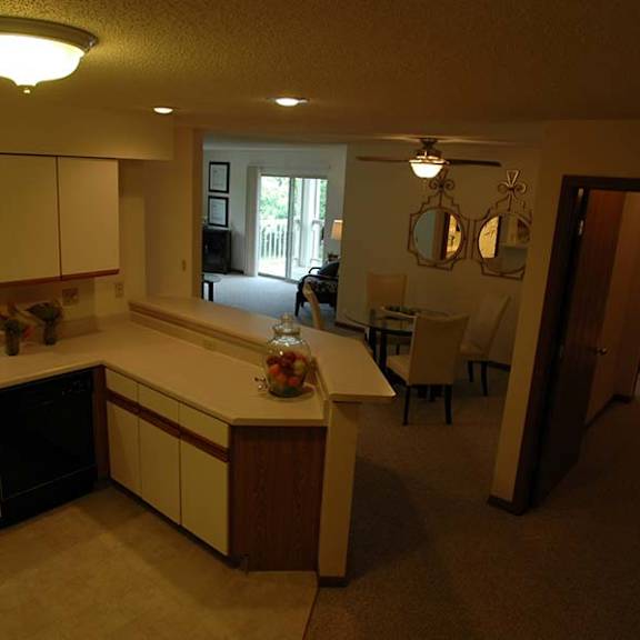 a kitchen with a sink and a counter.