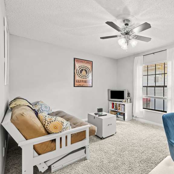 albany apartments | tampa, fl | living room