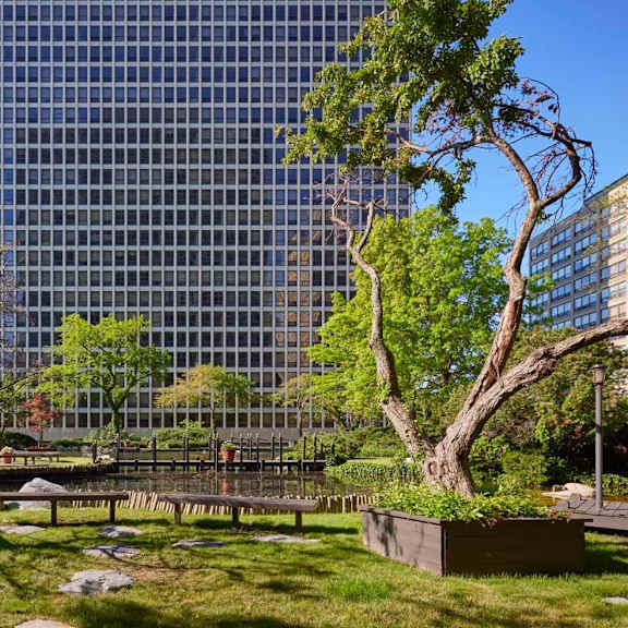 a park with a bench and a tree in front of a glass building.
