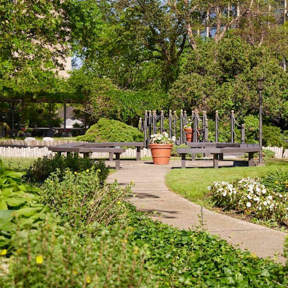 a garden with a paved walkway and a variety of plants.