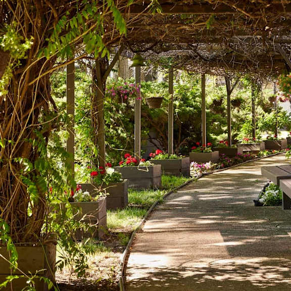 a walkway with benches and a trellis with hanging plants.