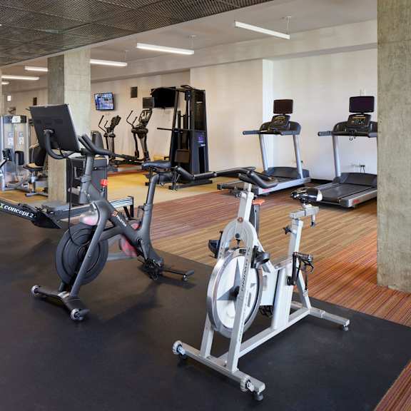 a gym with treadmills, elliptical machines, and other cardio equipment.