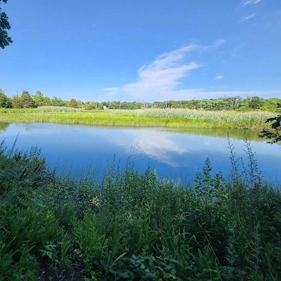 a serene lake surrounded by lush greenery under a clear blue sky.