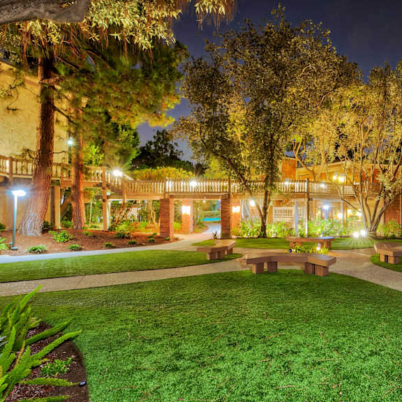 a park with benches and grass and trees at night at the meadows apartments, california, 90230