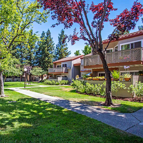 a walkway between two apartment buildings with trees and grass at valley plaza villages, pleasanton