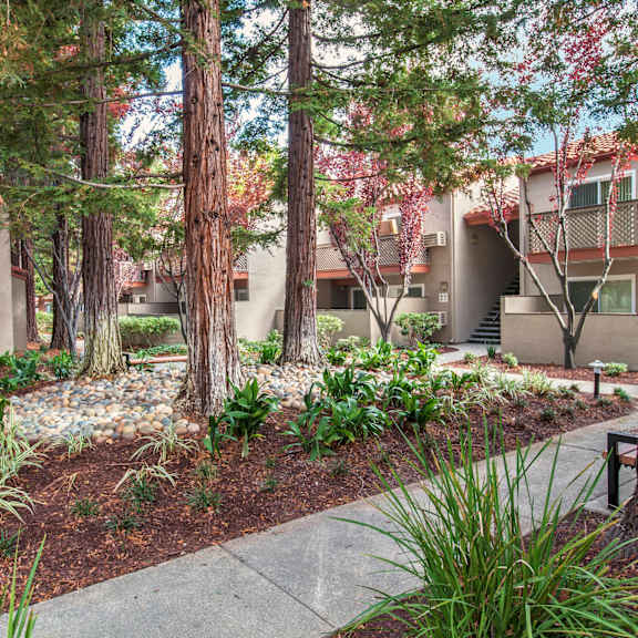 a courtyard with trees and a sidewalk in front of a building at valley plaza villages, california