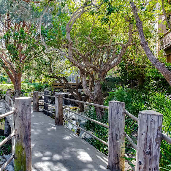 a wooden walkway with railings goes through a tree-filled area at mariners village, marina del rey, 90292