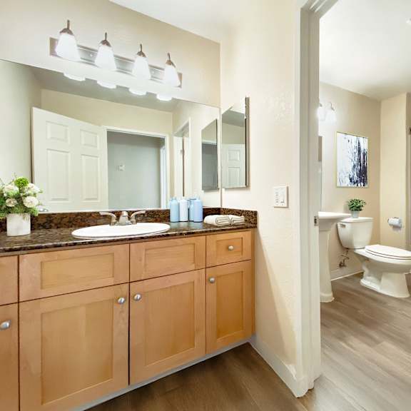 a bathroom with a vanity and a toilet at pleasanton place, pleasanton, ca, 94566
