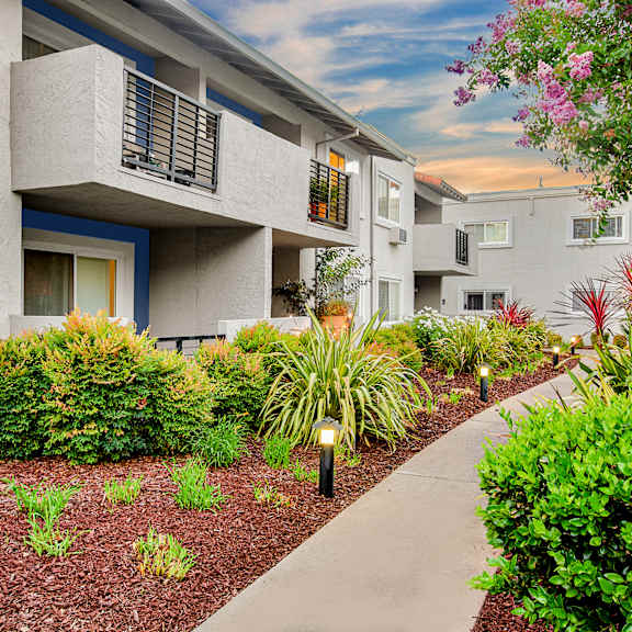 a concrete pathway leads through a landscaped area in front of apartment buildings at pleasanton place, pleasanton, ca, 94566