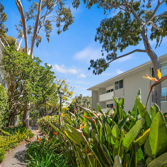 a white house with green shutters is surrounded by lush greenery and trees at sunset barrington gardens, los angeles, 90049