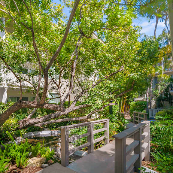 a tree in a backyard with a wooden deck at sunset barrington gardens, los angeles, 90049
