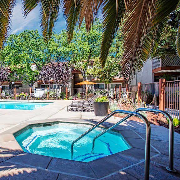 a pool surrounded by palm trees and patio furniture at valley plaza villages, california, 94566