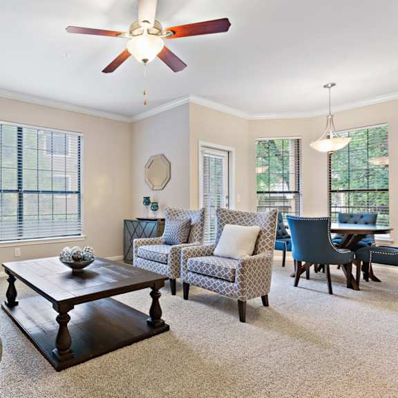 Thumbnail 11 of 11 Tons of natural light at Ventana Oaks Apartments, Texas