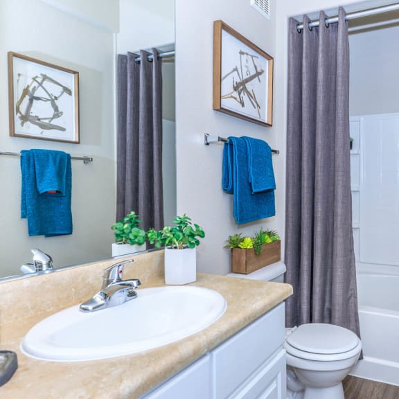 Thumbnail 6 of 6 Bathroom at The Presidio by Picerne, N Las Vegas, Nevada